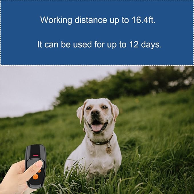BarkTame Pro: Ultrasonic Dog Behavior Trainer