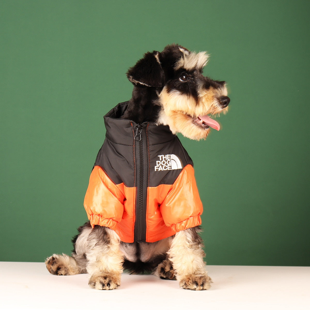 All-Weather Reflective Dog Jacket