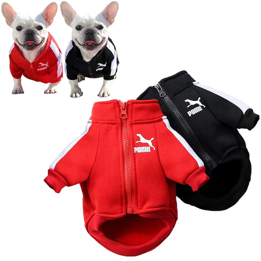 SnugPup Deluxe: All-Size Warm Jacket for Dogs