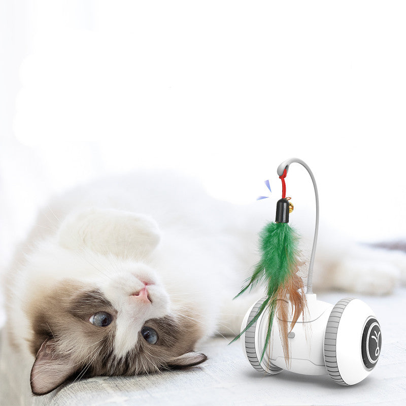 Automatic Interactive Feather Cat Toy