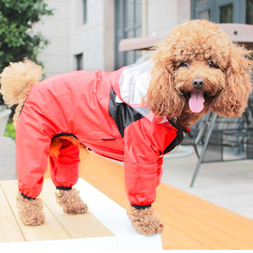 TrendyPup Waterproof Dog Raincoat with See-Through Hood