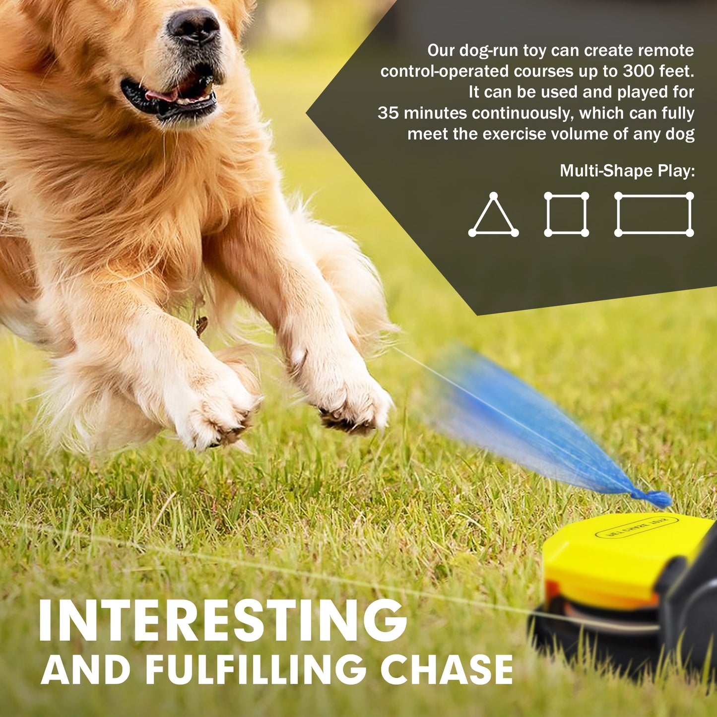 Fetch'N Fun Canine Agility Set - Ultimate Interactive Playtime for Active Pooches