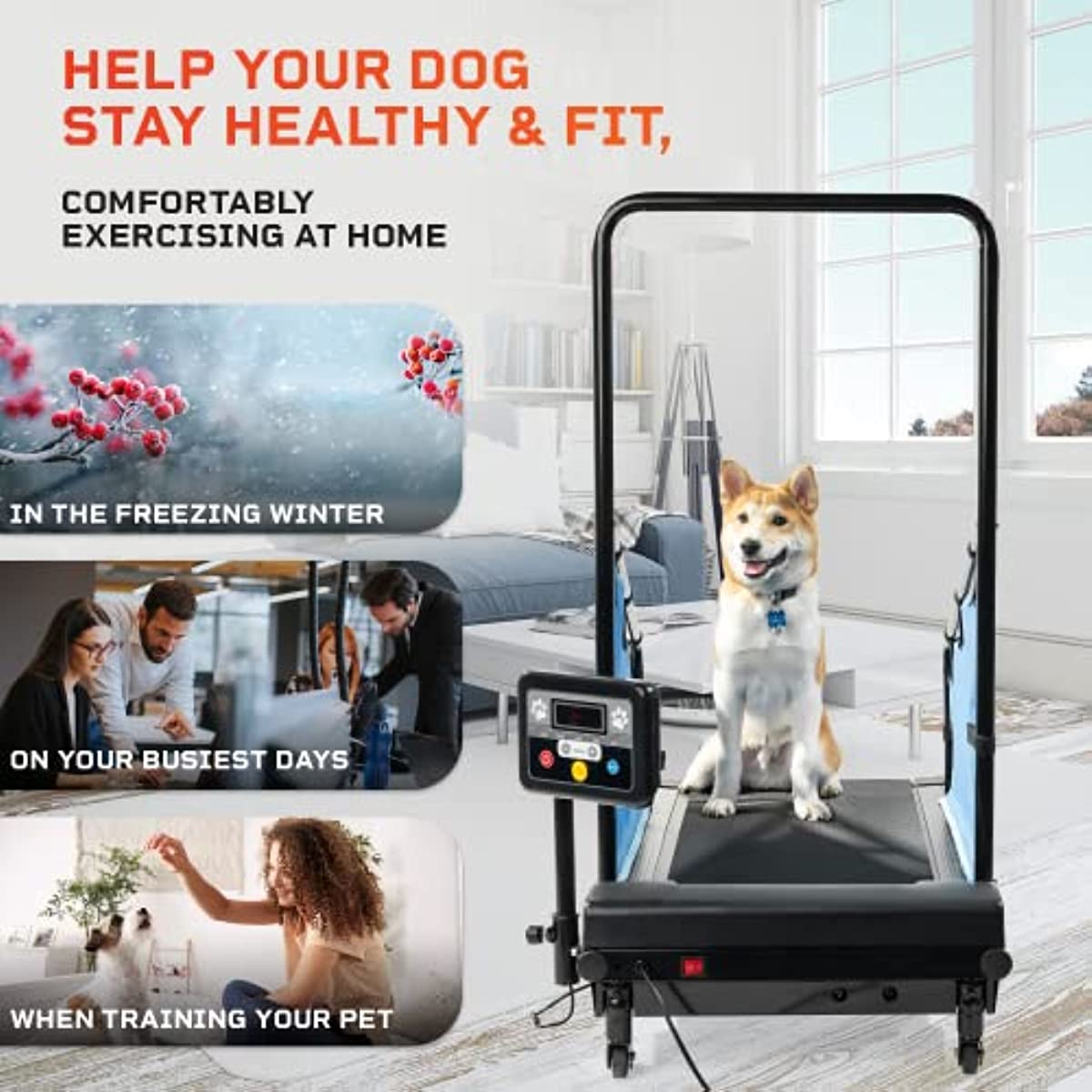 Dog Pacer Treadmill for Healthy & Fit Pets - Dog Treadmill Run Walk for Indoor Training for Dogs up to 130 lbs