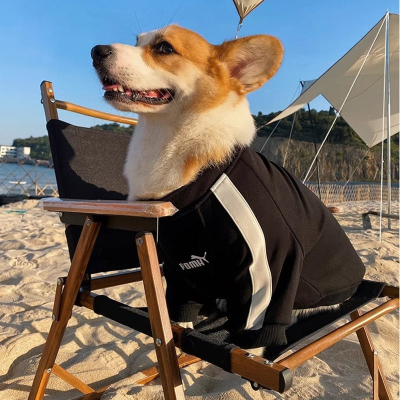 SnugPup Deluxe: All-Size Warm Jacket for Dogs