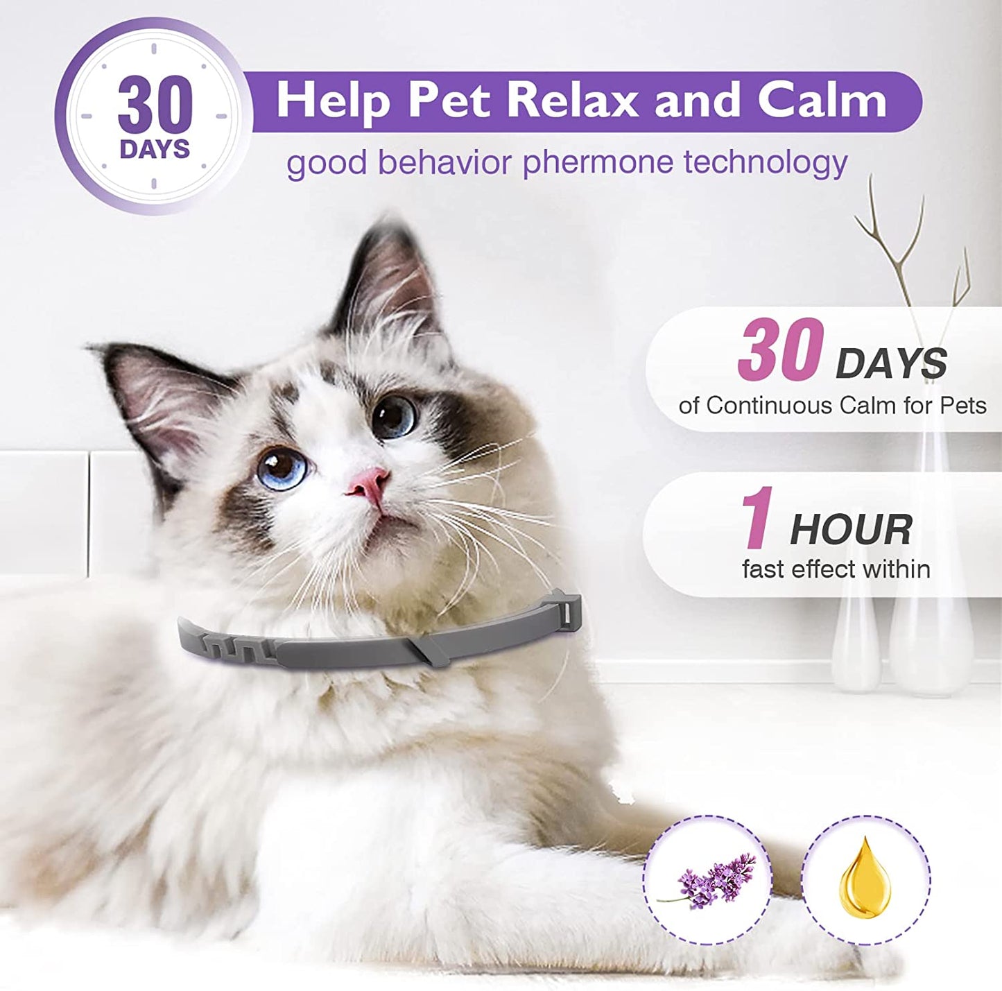 TravelEase Calming Collar: Journeying With Your Tranquil Feline