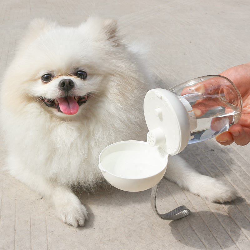 Portable Water Bottle for Cats & Dogs