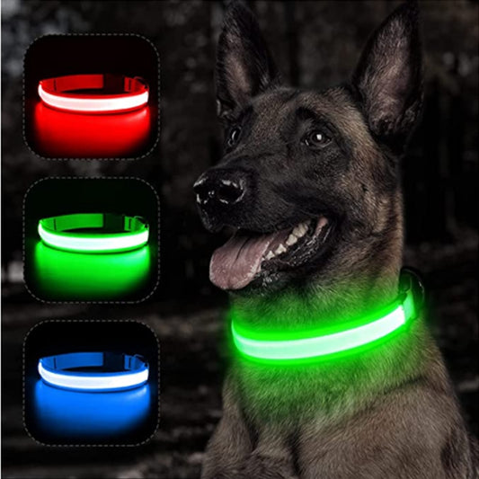 LIT Pup! Ultimate LED Dog Collar