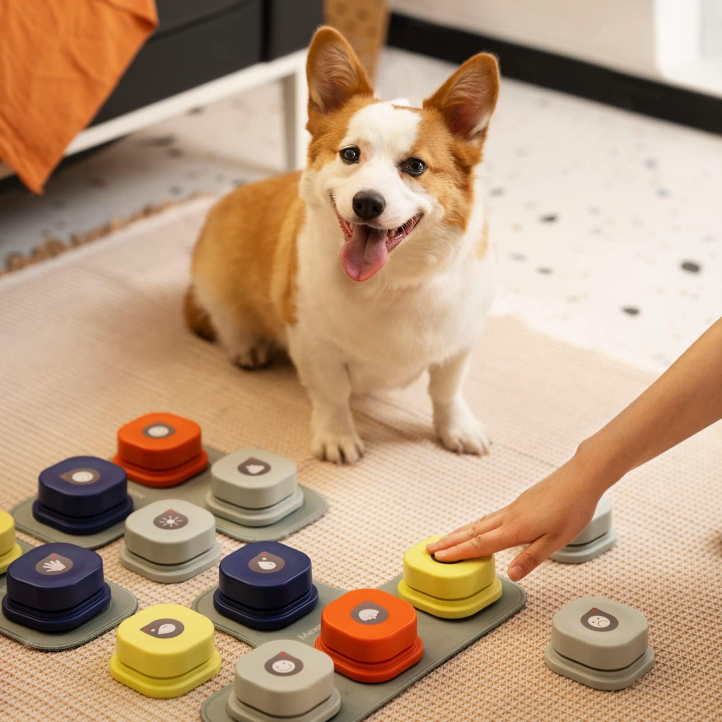 Dog Communication Starter Pack with Recordable Talking Buttons - Enhance Interaction and Training for Dogs with Mat & Stickers.